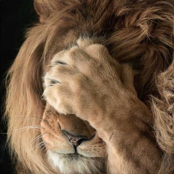 Don’t Be Shy on offers - Picture 1 of 3